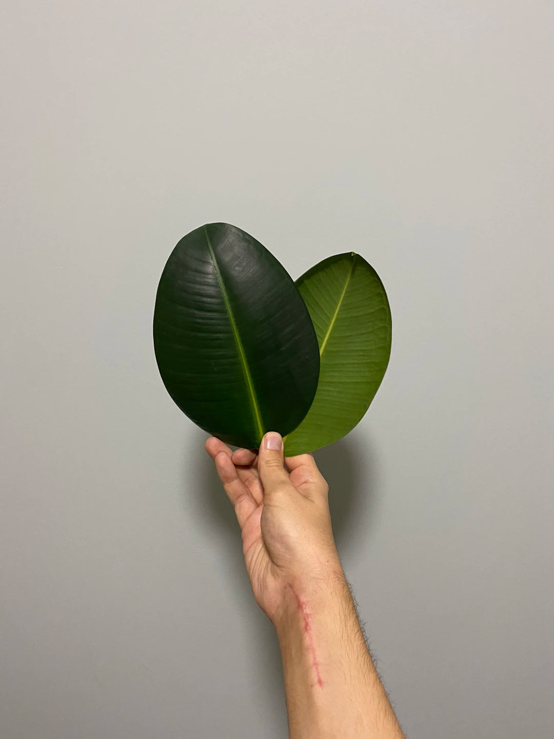 Matelas écologiques  le futur du confort